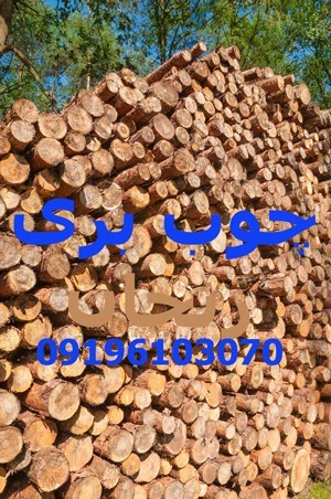 چوب بری زنجان